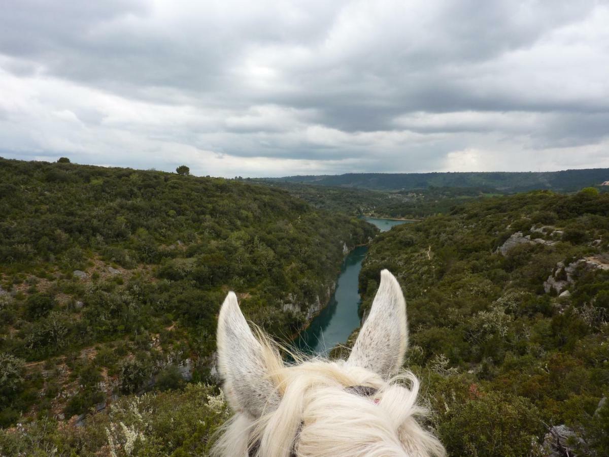 L' Oliveraie De Plerimond Aups Exteriér fotografie